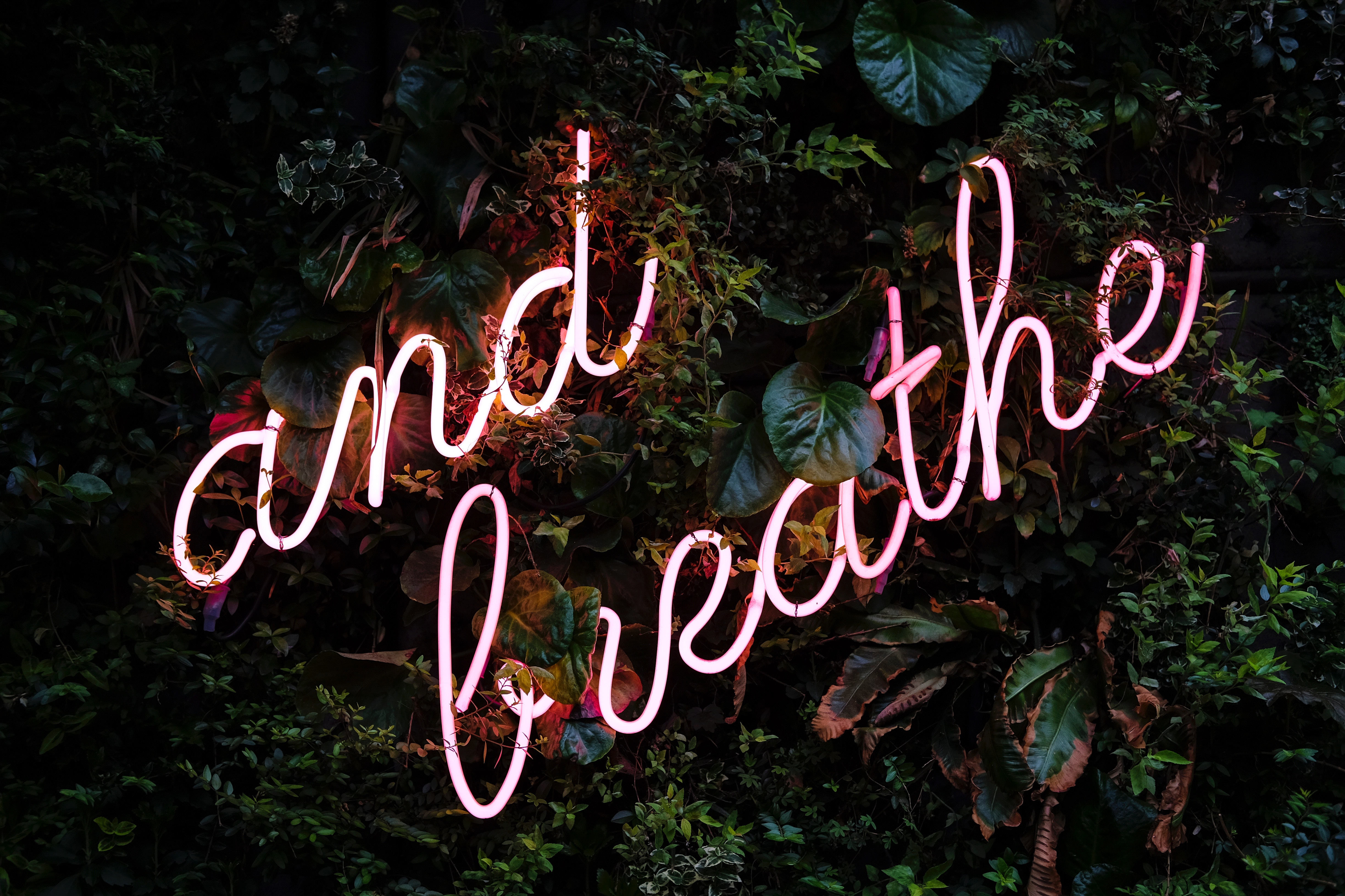 L’art du lâcher prise par la respiration